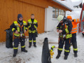 2019 01 11 SchneeraeumenSachrang  2 