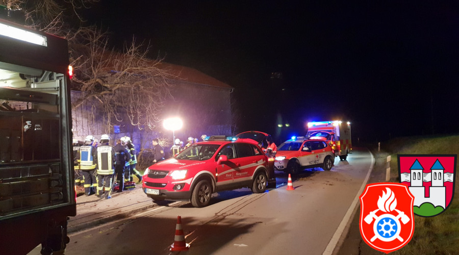 314950058 20181207 233027 4217277 resized