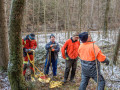 Maibaum Fa  llen 2019 2