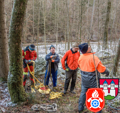 Maibaum Fa  llen 2019 2