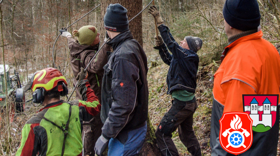 Maibaum Fa  llen 2019 4