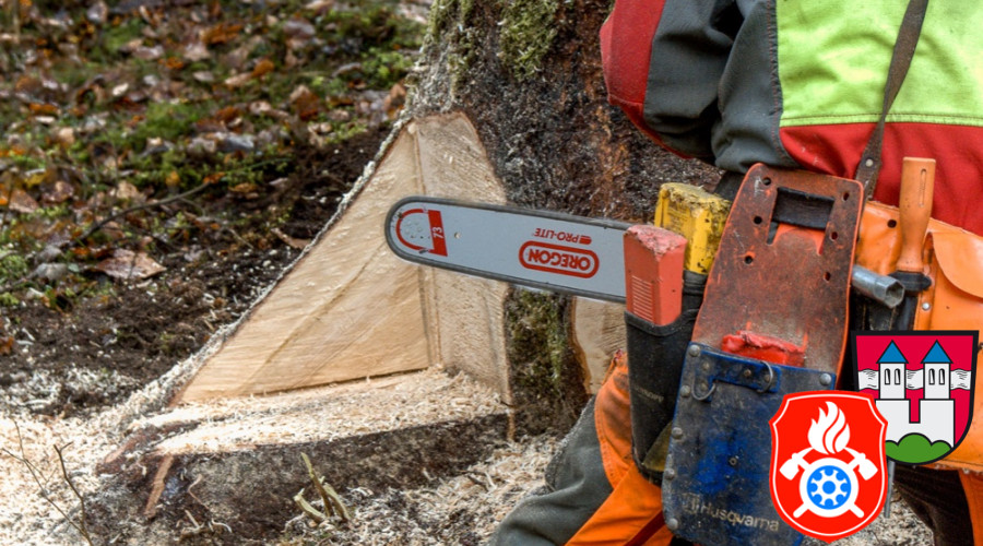 Maibaum Fa  llen 2019 6