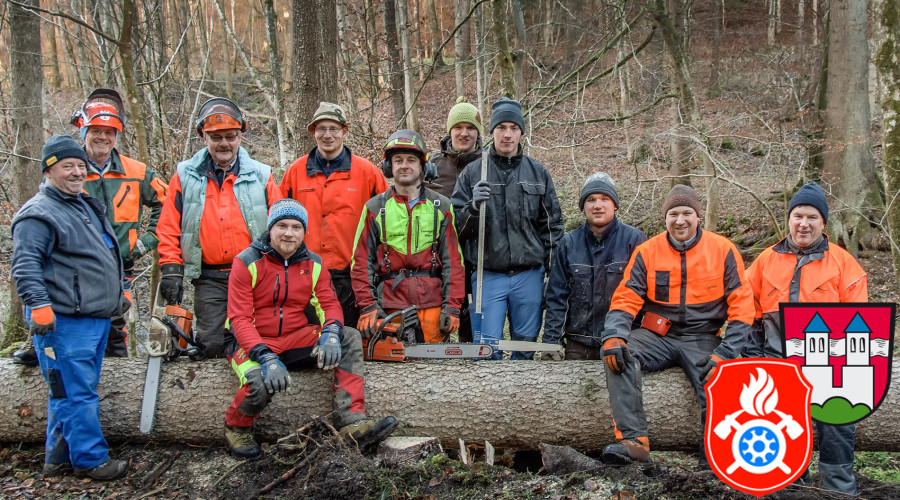 Maibaum Fa  llen 2019 8