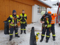 Sachrang Chiemgau Daecher Schneelast Unterstuetzung 3