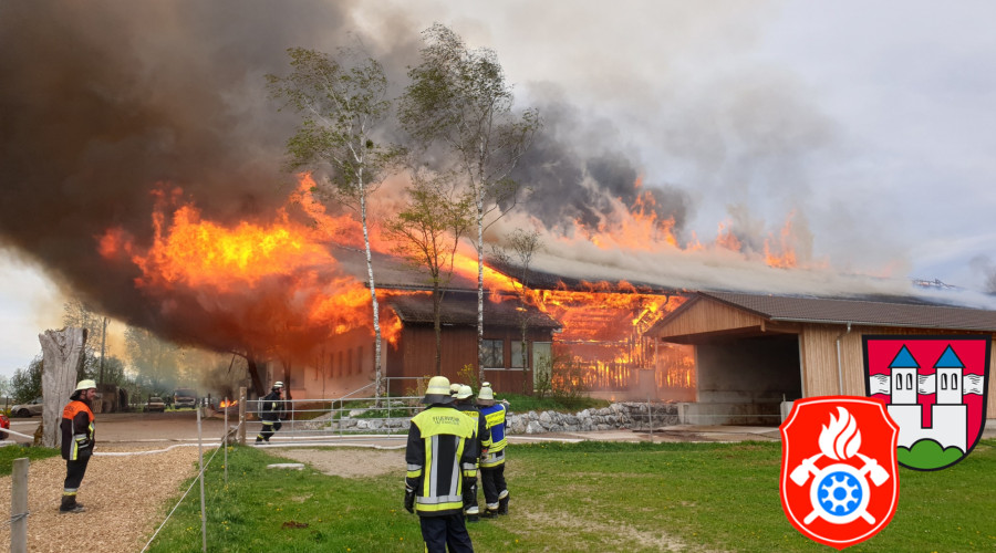 2019 04 24 BrandHaiming  1 