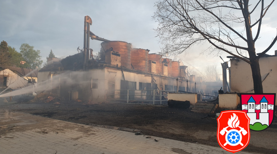 2019 04 24 BrandHaiming  2 