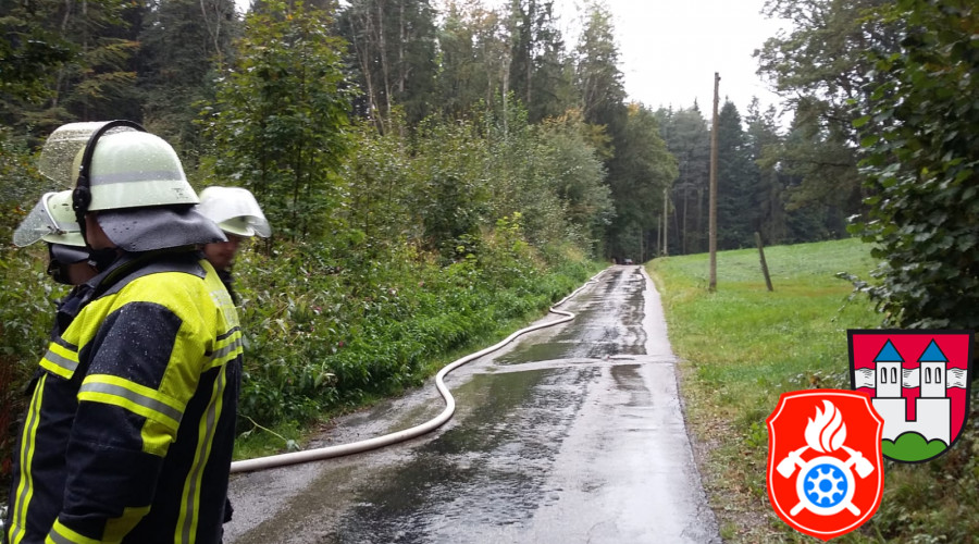 WhatsApp Image 2019 10 10 at 17.34.33