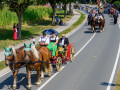 ffw festzug 17