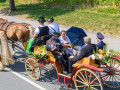 ffw festzug 18