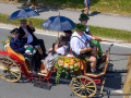 ffw festzug 27