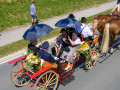ffw festzug 28