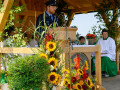 ffw festzug 4