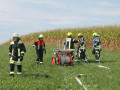 k img 8114