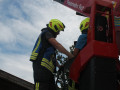 k img 8193