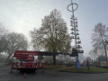 2022 11 12 maibaum rueckbau  10 