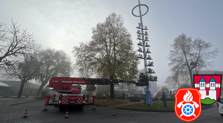 2022 11 12 maibaum rueckbau  10 
