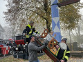 2022 11 12 maibaum rueckbau  13 