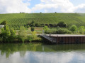 2023 09 23 ausflug volkach schweinfurt hl  17 