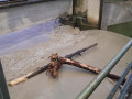 photo 2023 08 28 20 58 15