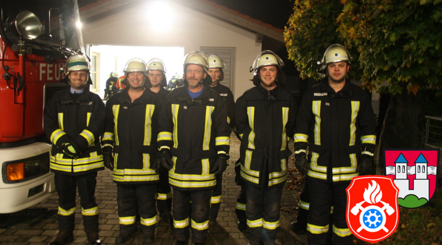 2015 10 14 5846 THL Leistungsabzeichen