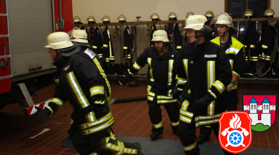 22 02 2011 0954 Saugleitungkuppeln 2011