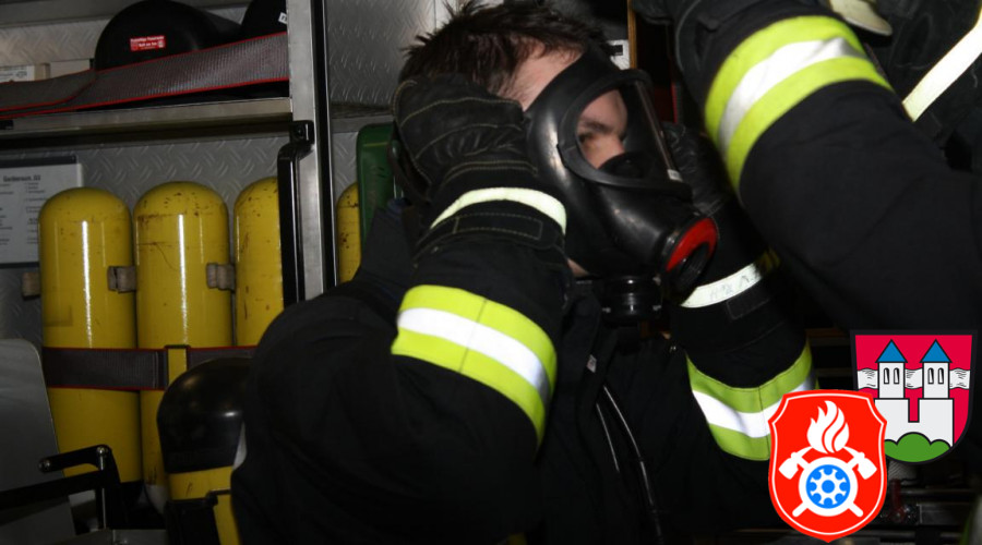 22 02 2011 0996 Saugleitungkuppeln 2011