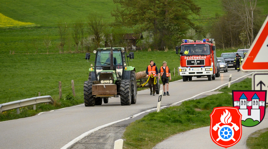 maibaum24 010424 ffw