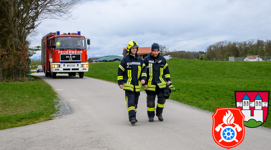 maibaum24 010424 ffw
