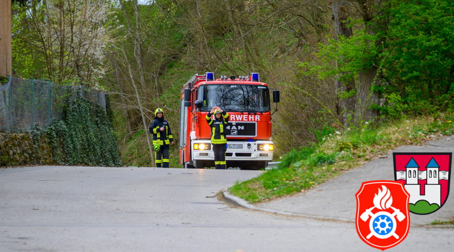maibaum24 010424 ffw