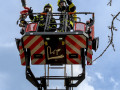 ffw rott infotag 05042025 bk 67