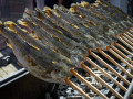 ff sommerfest 24 bk
